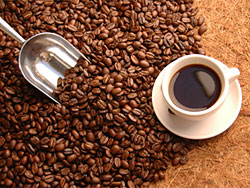 Over 75% of Australia's coffee is grown in Mareeba