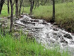 Stream