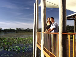 See the magnificent birdlife at Mareeba Wetlands.